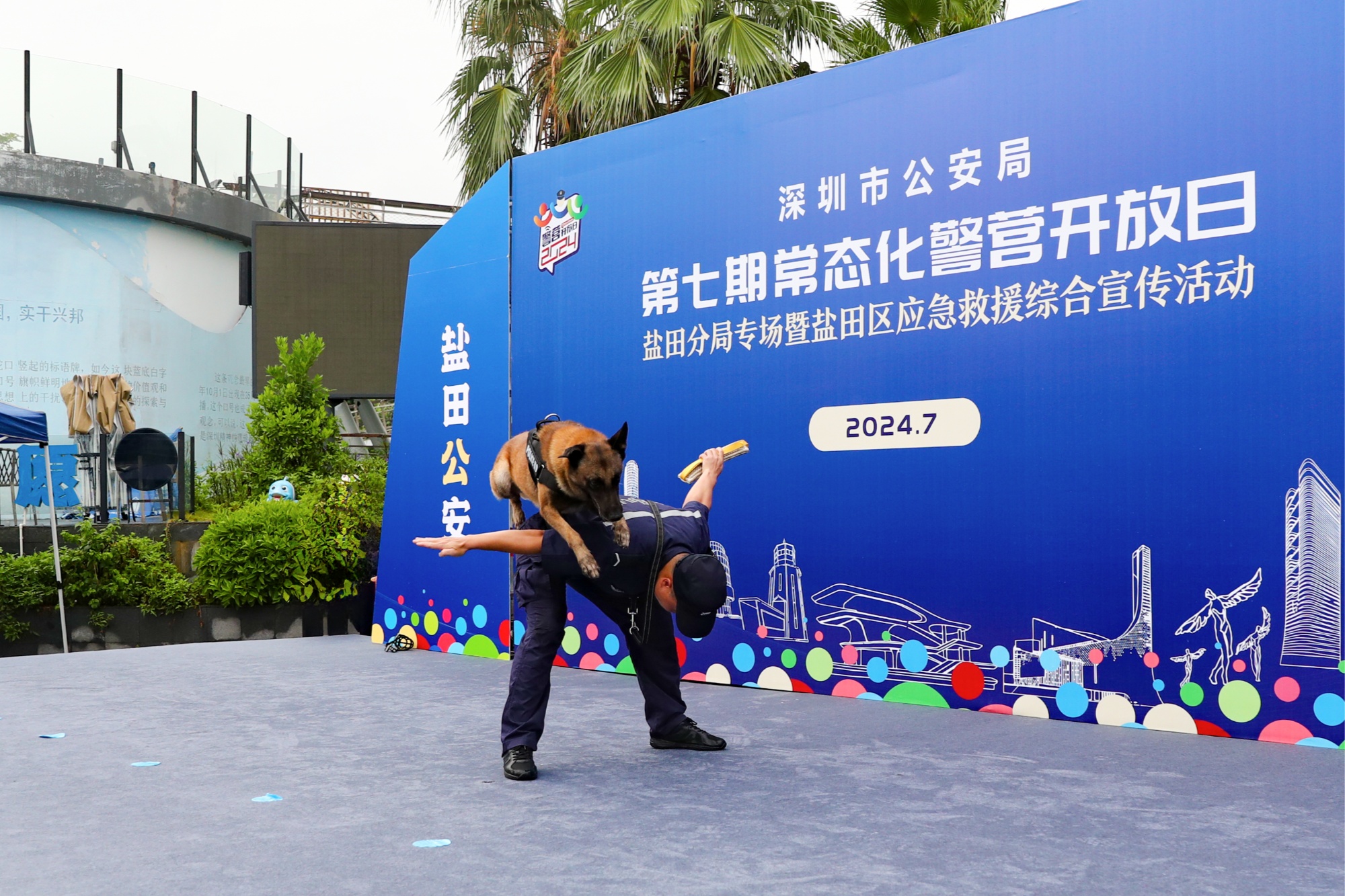 九游网页版入口-多伦多猛龙训练开放日;赛前强势反弹引欢呼;意大利杯在即;团队化学反应显著的简单介绍